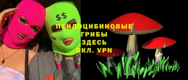 метадон Богородицк