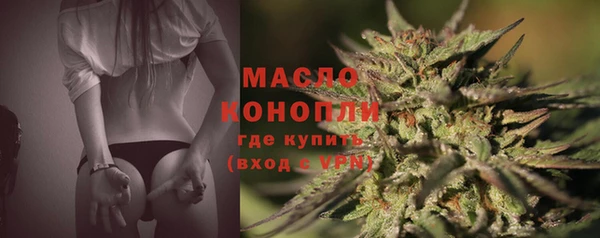 гашик Богородск