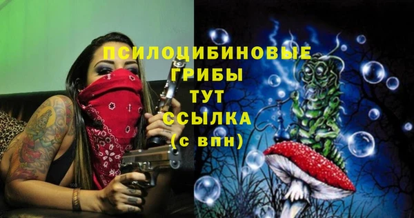 мескалин Каменск-Шахтинский